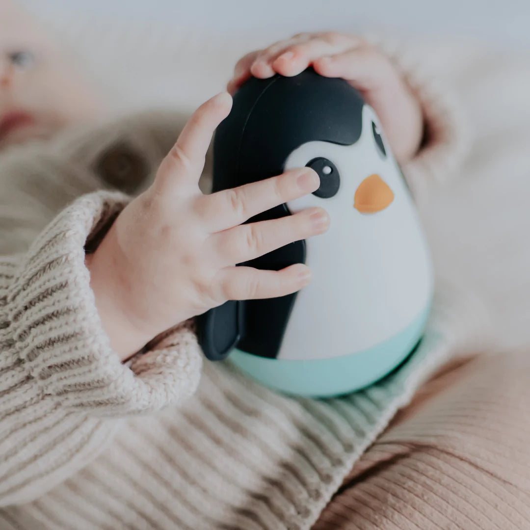 Jellystone Penguin Wobble Sensory Toy - Assorted