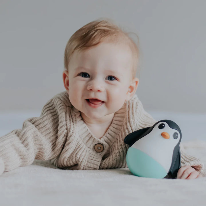 Jellystone Penguin Wobble Sensory Toy - Assorted