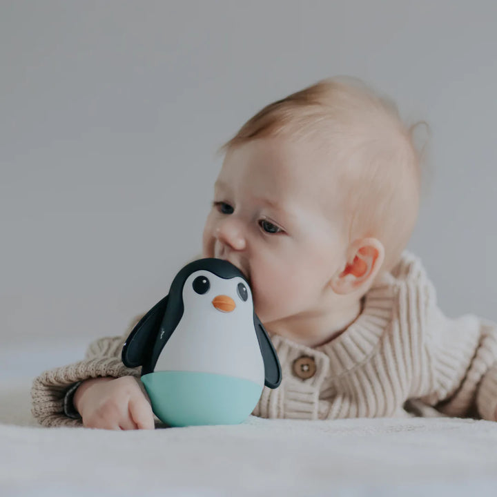 Jellystone Penguin Wobble Sensory Toy - Assorted